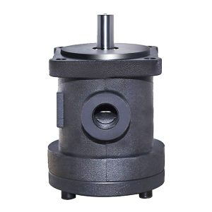 kiinteän tilavuuden siipipumput